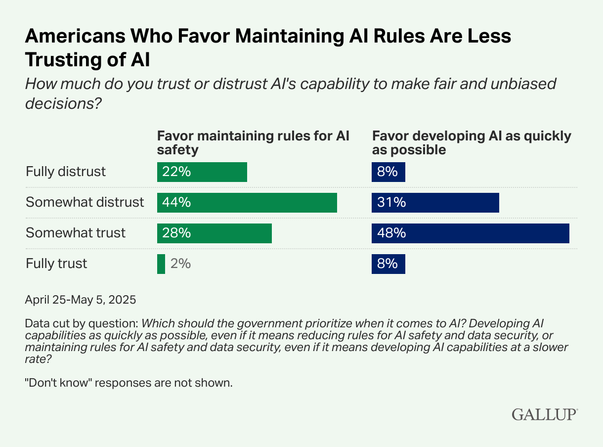 Americans Prioritize AI Safety and Data Security
