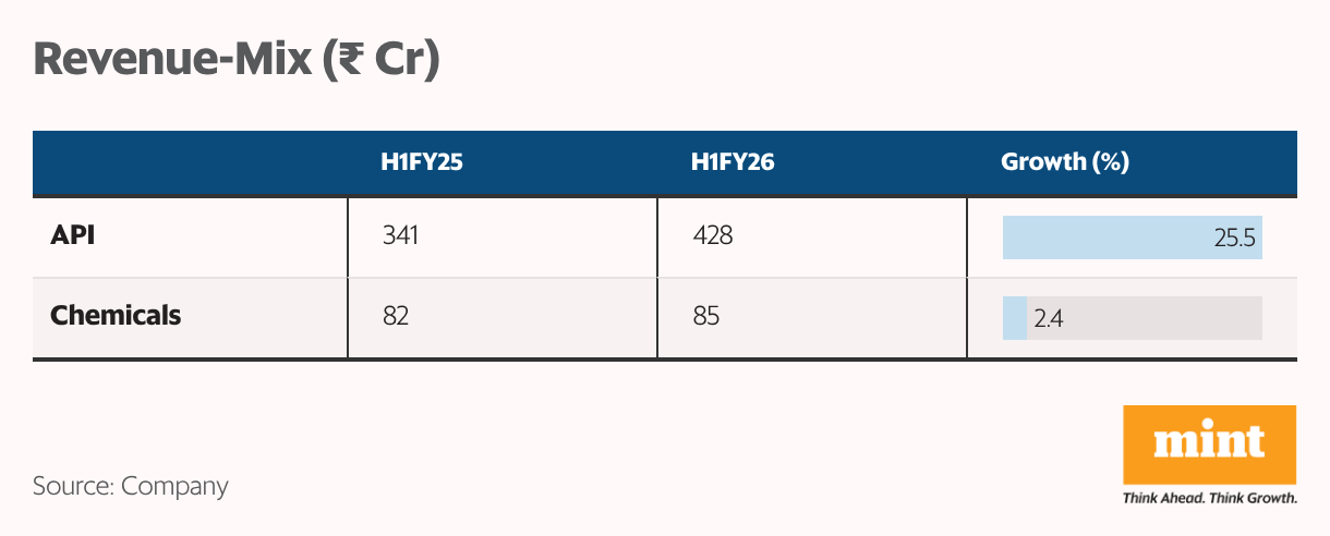 Revenue-Mix ( <span class=