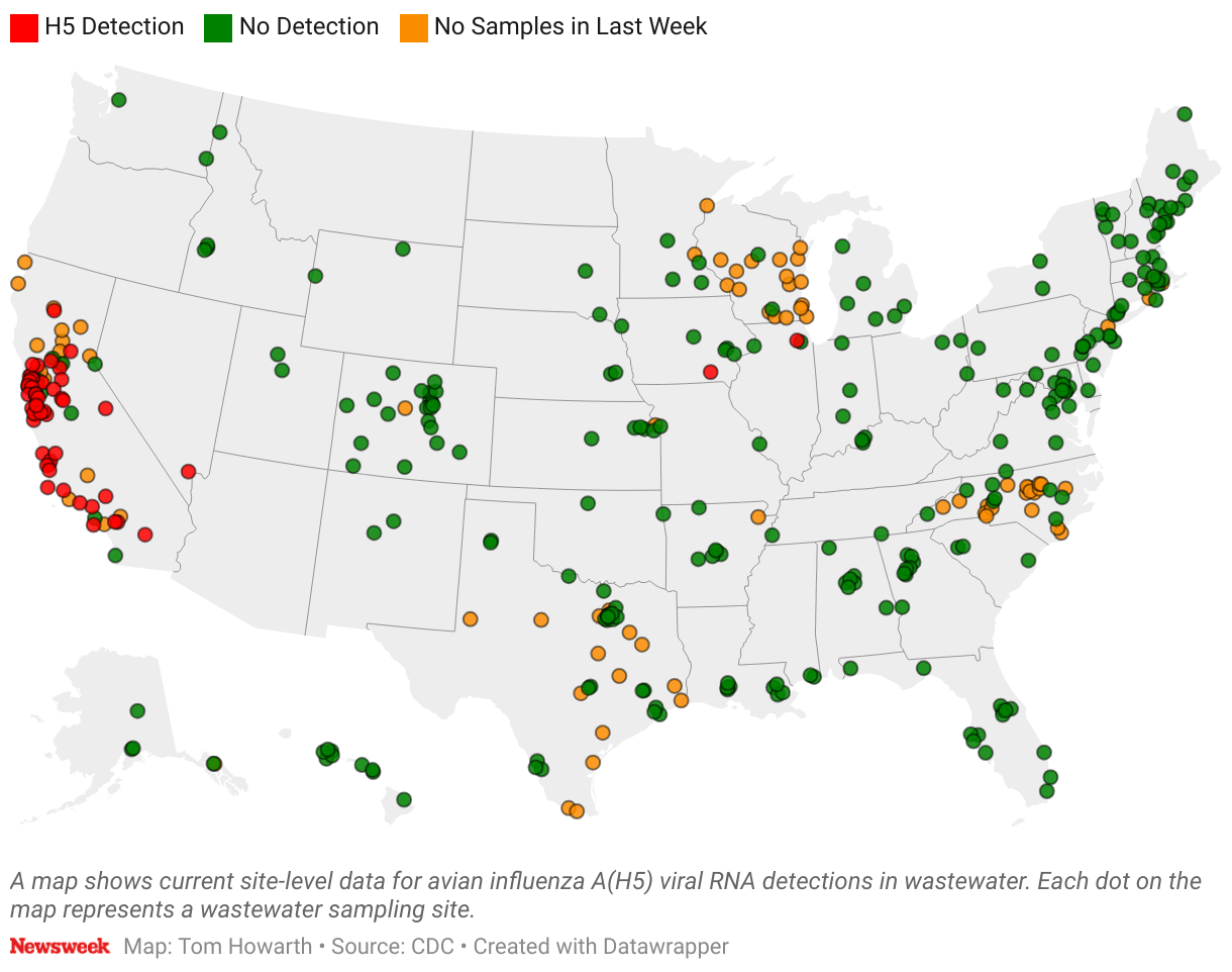 Bird Flu Wastewater Map Reveals Where in the US Virus Is Active - Newsweek