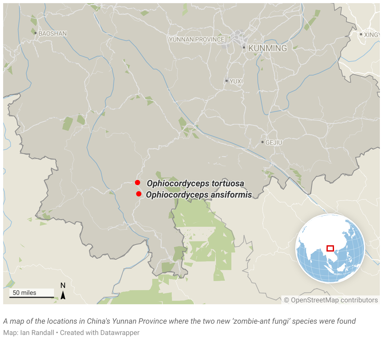 A map of the locations in China's Yunnan Province where the two new ‘zombie-ant fungi’ species were found
