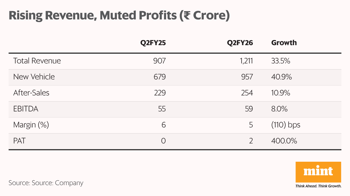 Rising Revenue, Muted Profits ( <span class=