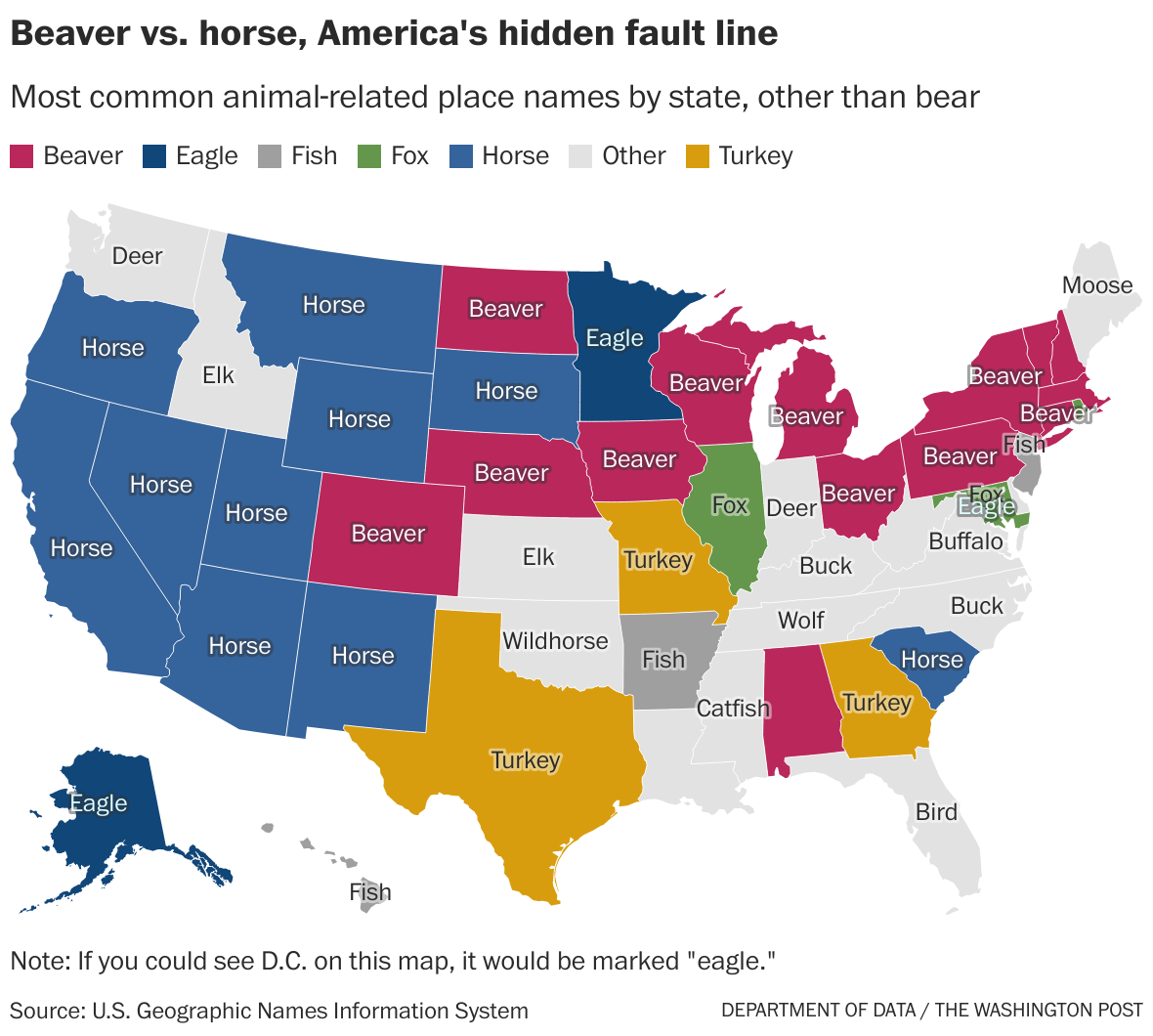 Map shows most popular NFL jersey in every state