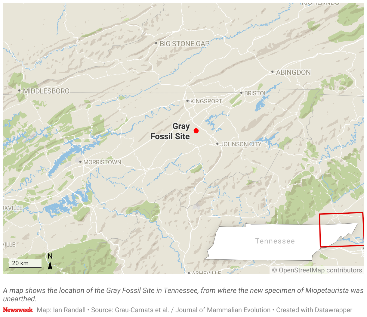 La ubicación del sitio fósil gris en Tennessee Tenzsi muestra que se recolectó la nueva muestra de Myopetaura.