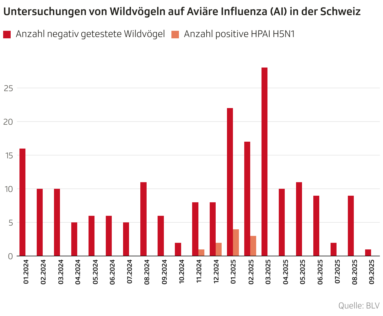 Untersuchungen von Wildvögeln auf Aviäre Influenza (AI) in der Schweiz (Säulendiagramm (gruppiert))