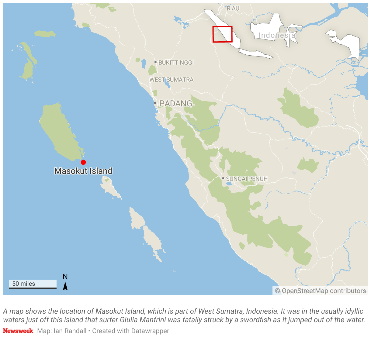 Woman Impaled by Swordfish on Surfing Trip Newsweek