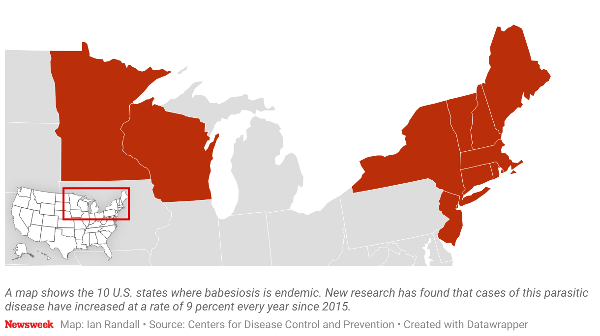 A map shows the 10 U.S. states where babesiosis is endemic.