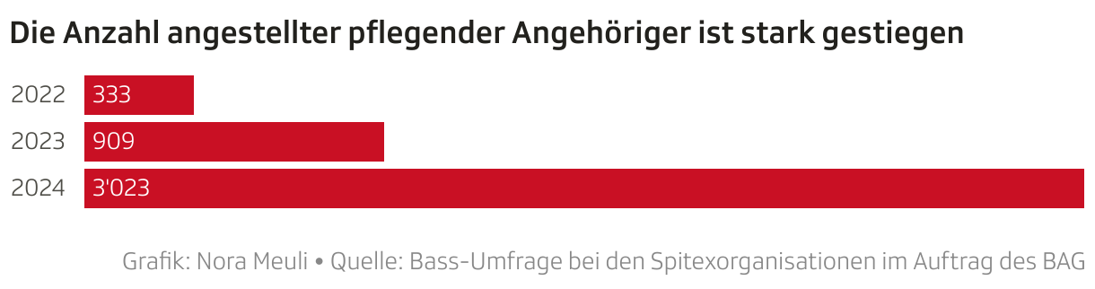 Die Anzahl angestellter pflegender Angehöriger ist stark gestiegen (Balken)