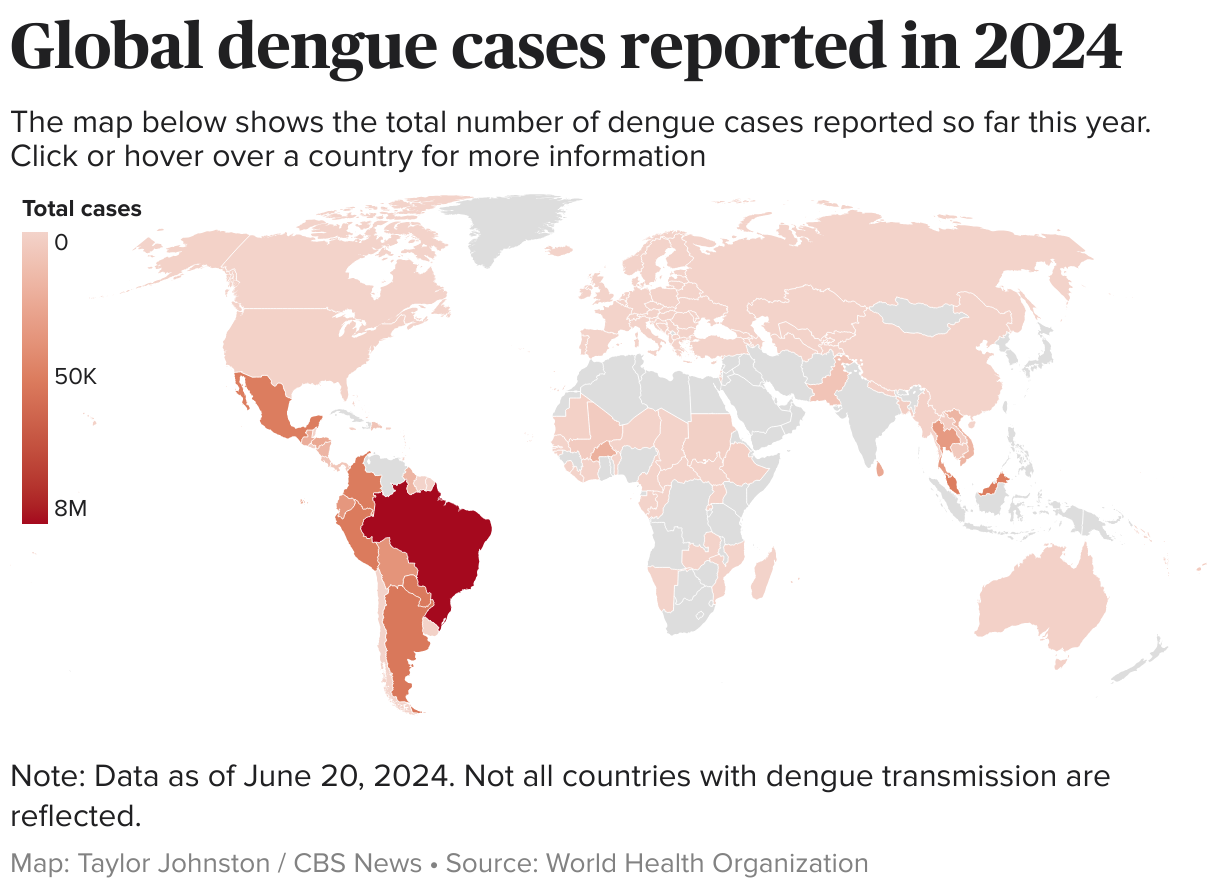 Global map showing number of dengue cases so far in 2024.