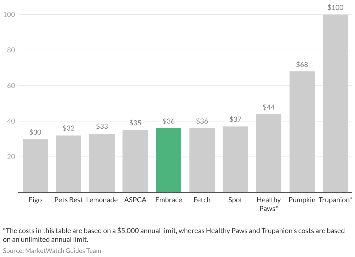 How Much Does It Cost to Insure a Dog: Ultimate Guide 2025