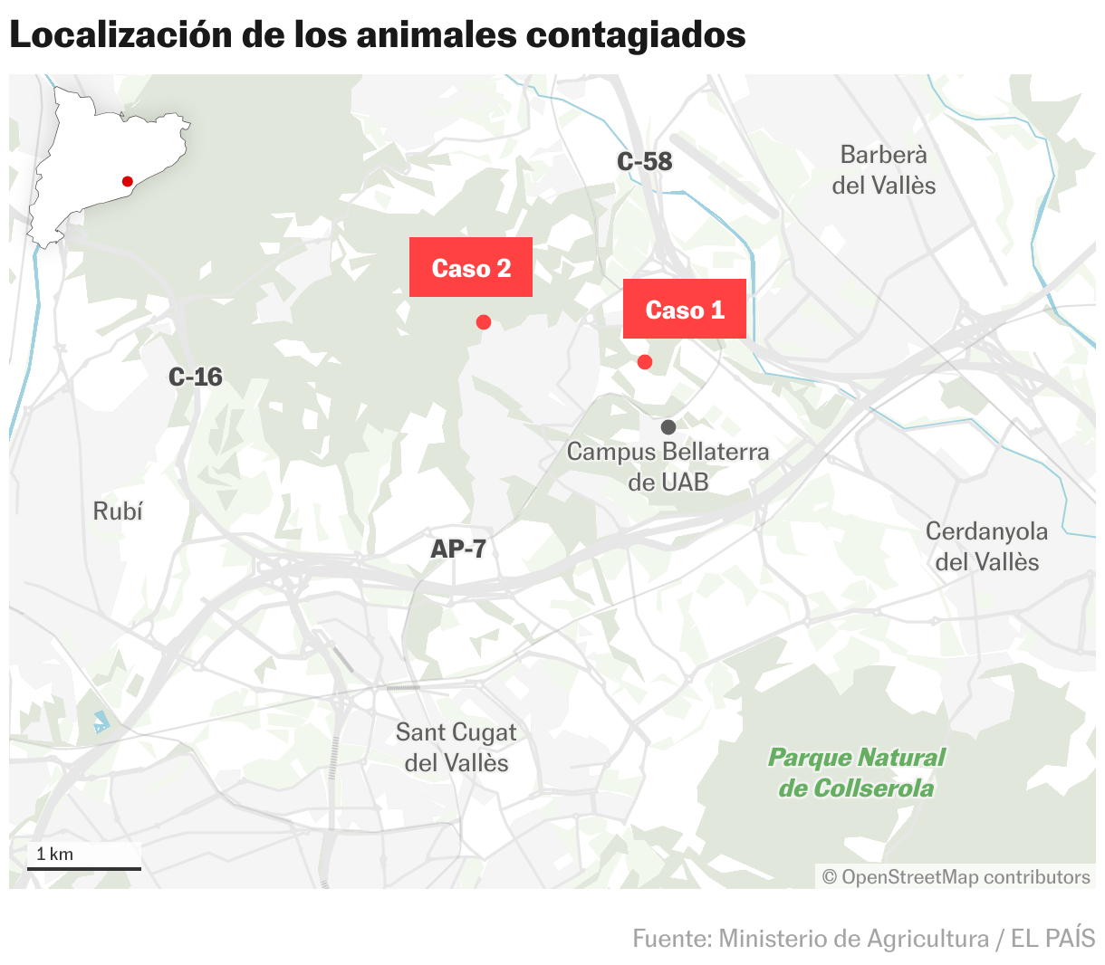 Localización de los animales contagiados (Mapas de ubicación)