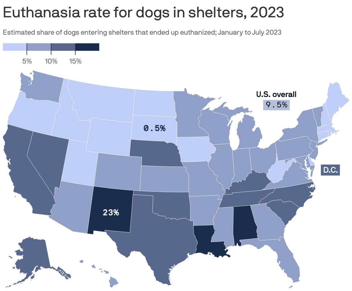 Euthanasia rates across U.S. animal shelters reach 3-year high