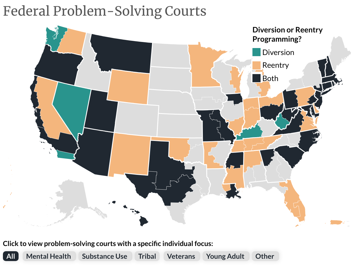 problem solving courts examples