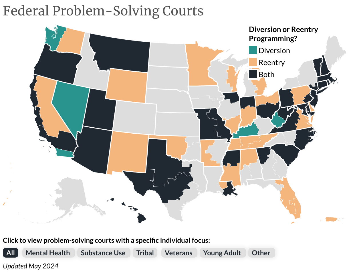 what do problem solving courts focus on