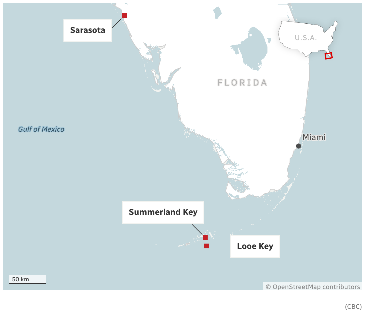 Rebuilding the reefs