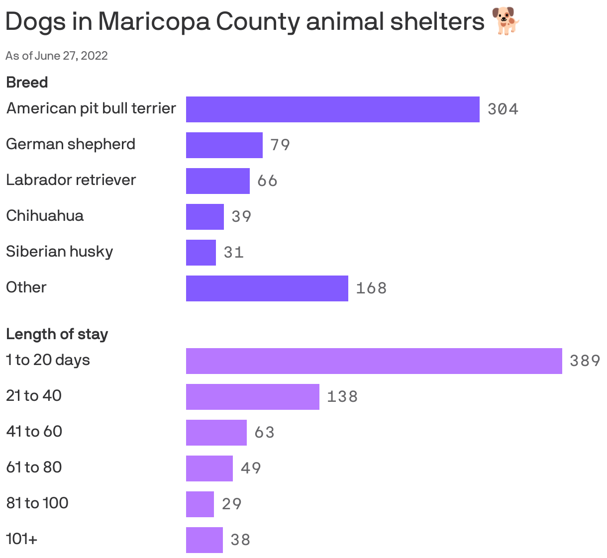 Dogs in Maricopa County animal shelters 🐕