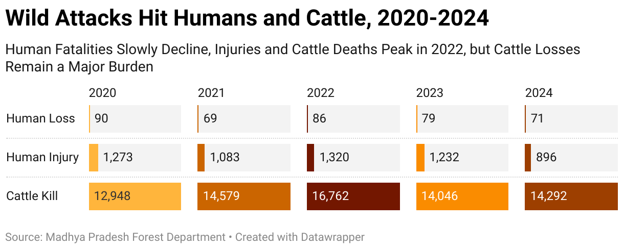 Wild Attacks Hit Humans and Cattle, 2020-2024 (Split Bars)