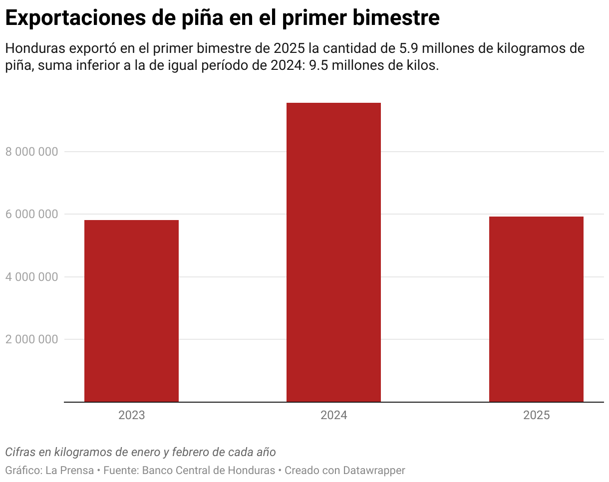 Honduras exportó en el primer bimestre de 2025 la cantidad de 5.9 millones de kilogramos de piña, suma inferior a la de igual período de 2024: 9.5 millones de kilos.