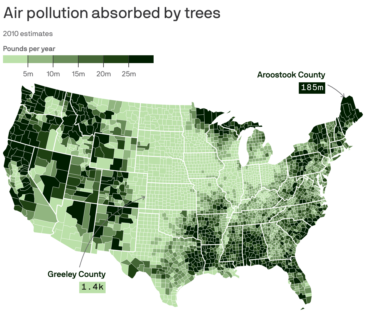Air pollution absorbed by trees