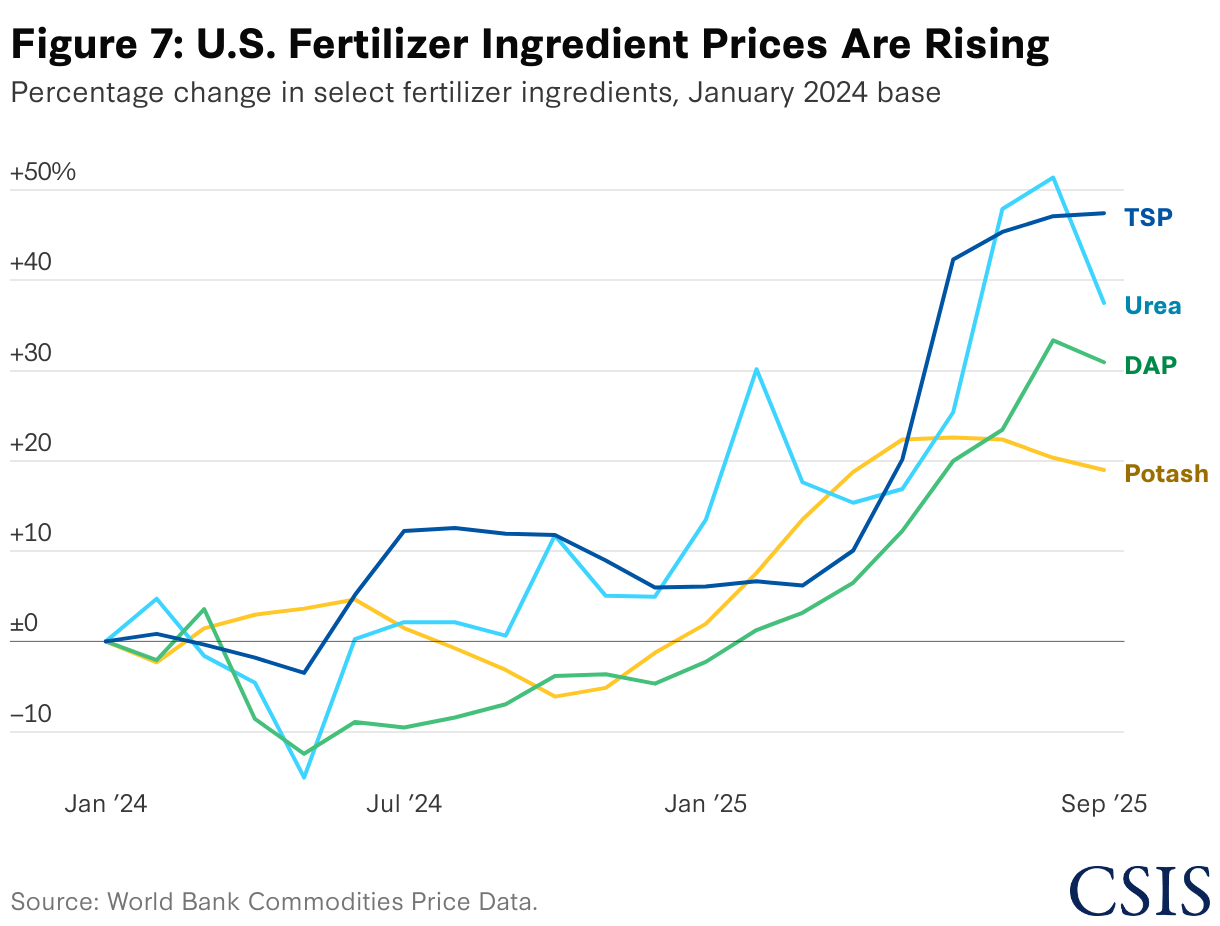 Figure 7: U.S. Fertilizer Ingredient Prices Are Rising (Line chart)