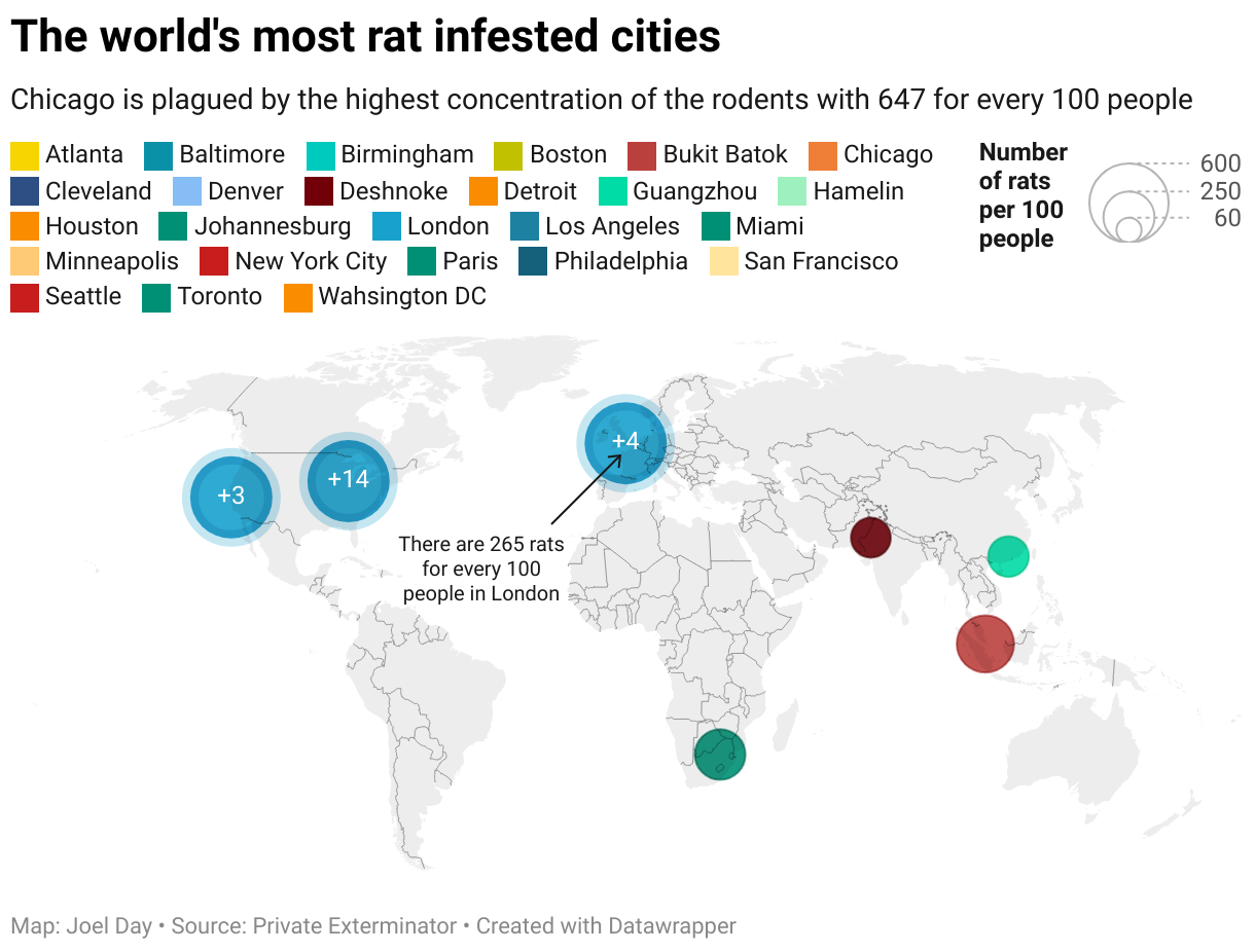 A map showing the rat population per 100 people in cities around the world. 