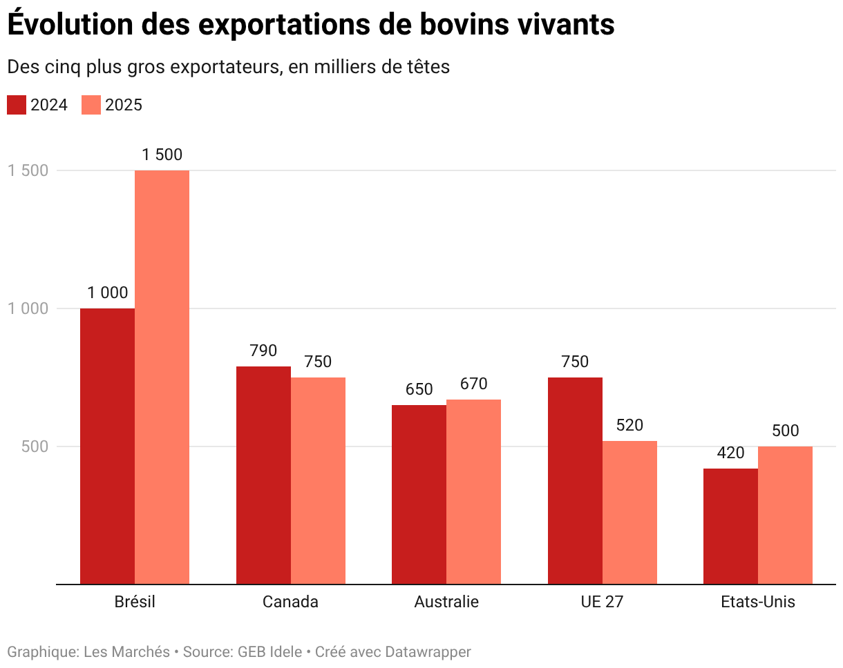 Évolution des exportations de bovins vivants (Colonnes groupées)