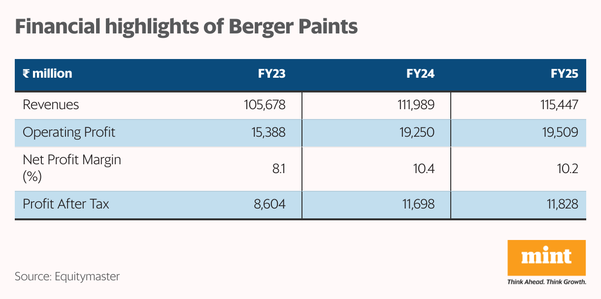 Financial highlights of Berger Paints (Table)