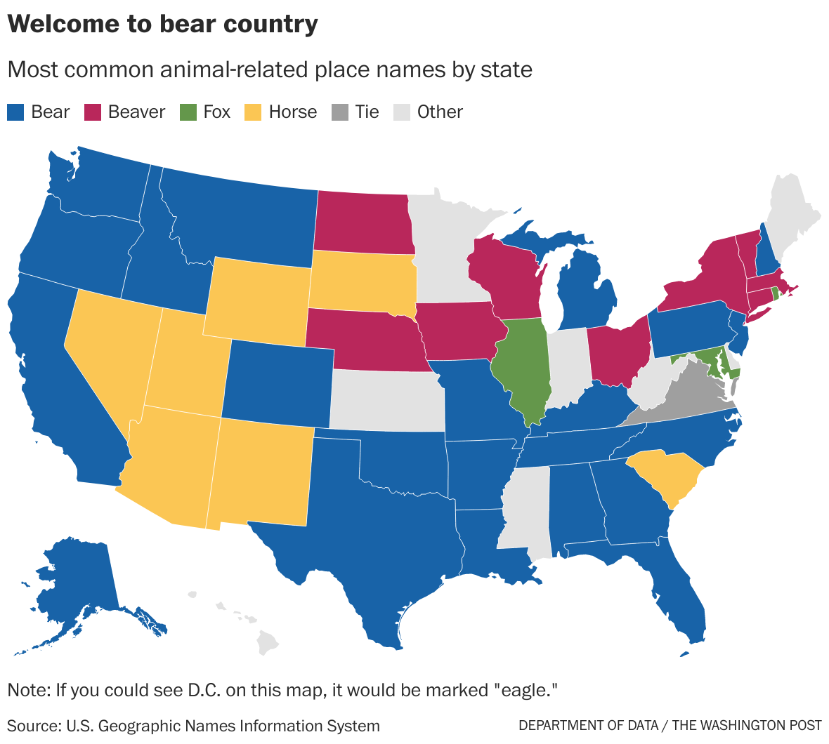 Map shows most popular NFL jersey in every state