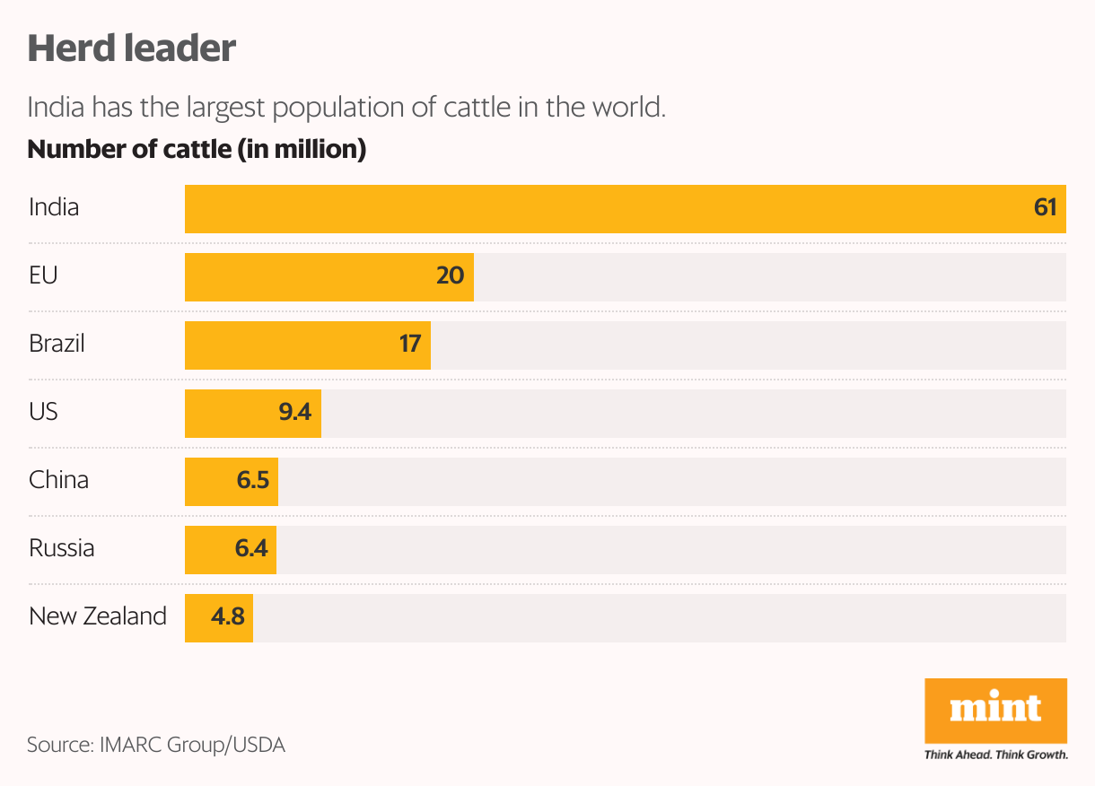 Herd leader (Bar Chart)