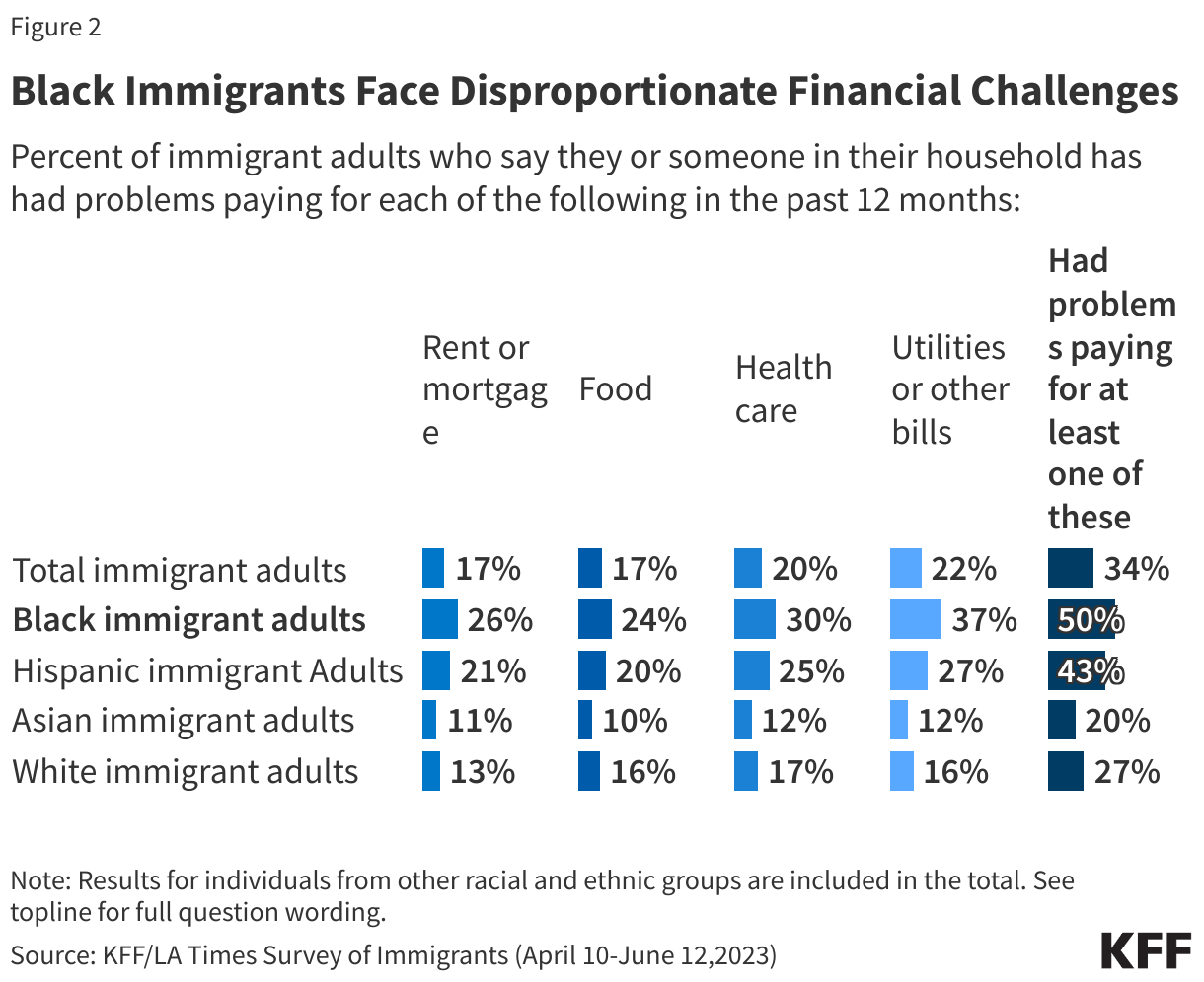 Black Immigrants Face Disproportionate Financial Challenges data chart