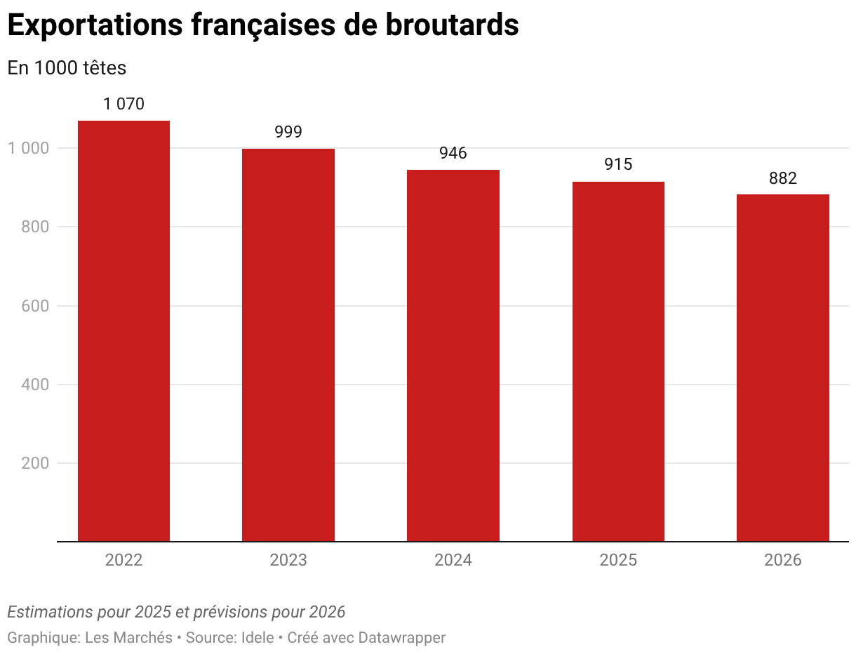 Exportations françaises de broutards (Graphique en colonnes)