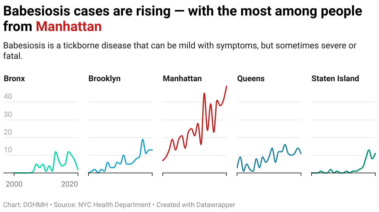 A line chart showing babesiosis cases have been increasing in NYC since 2000, with the most dramatic increase in Manhattan over other boroughs.