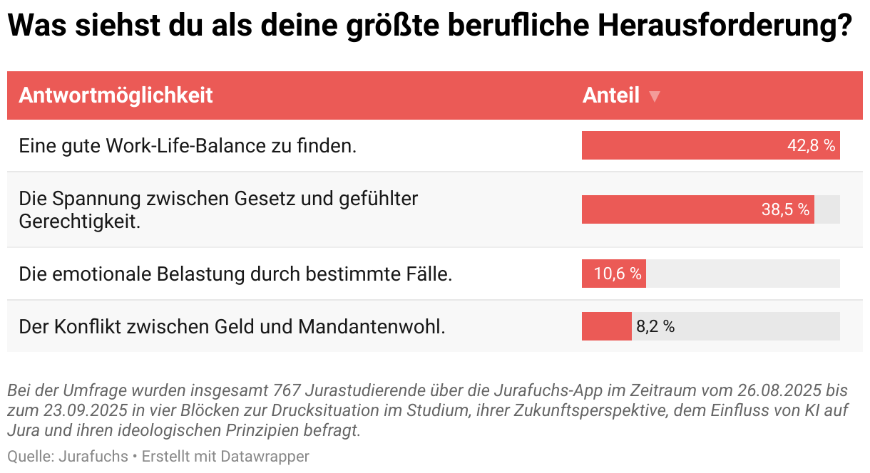 Was siehst du als deine größte berufliche Herausforderung? (Tabelle)