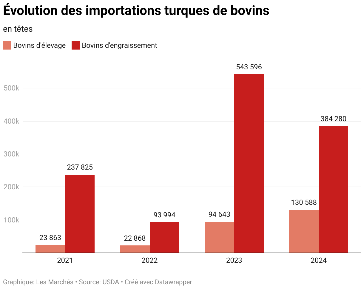 Évolution des importations turques de bovins (Colonnes groupées)