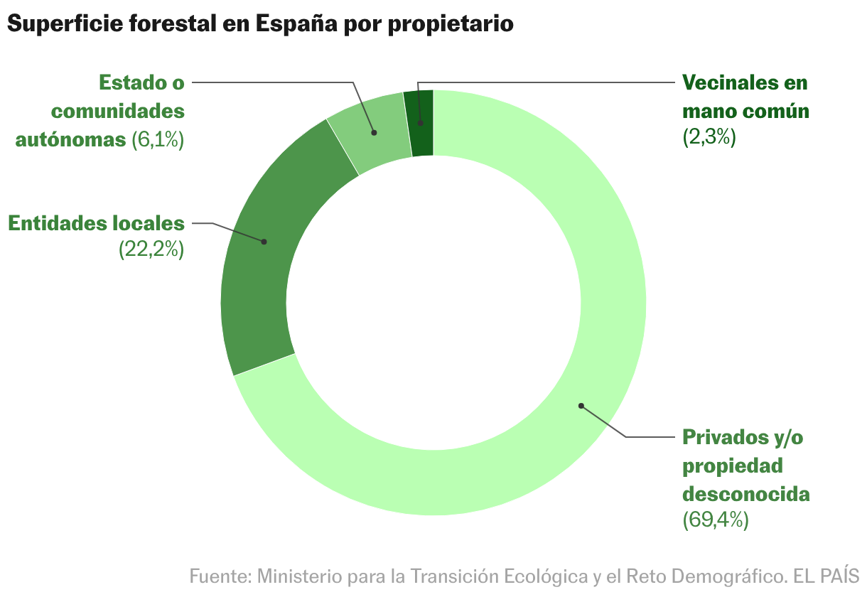 Gráfico de anillo