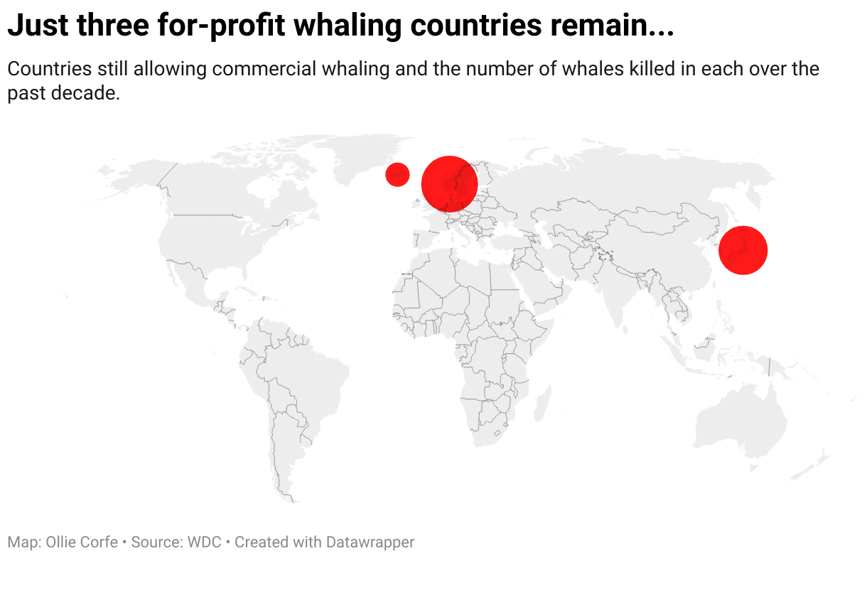 Whaling countries.