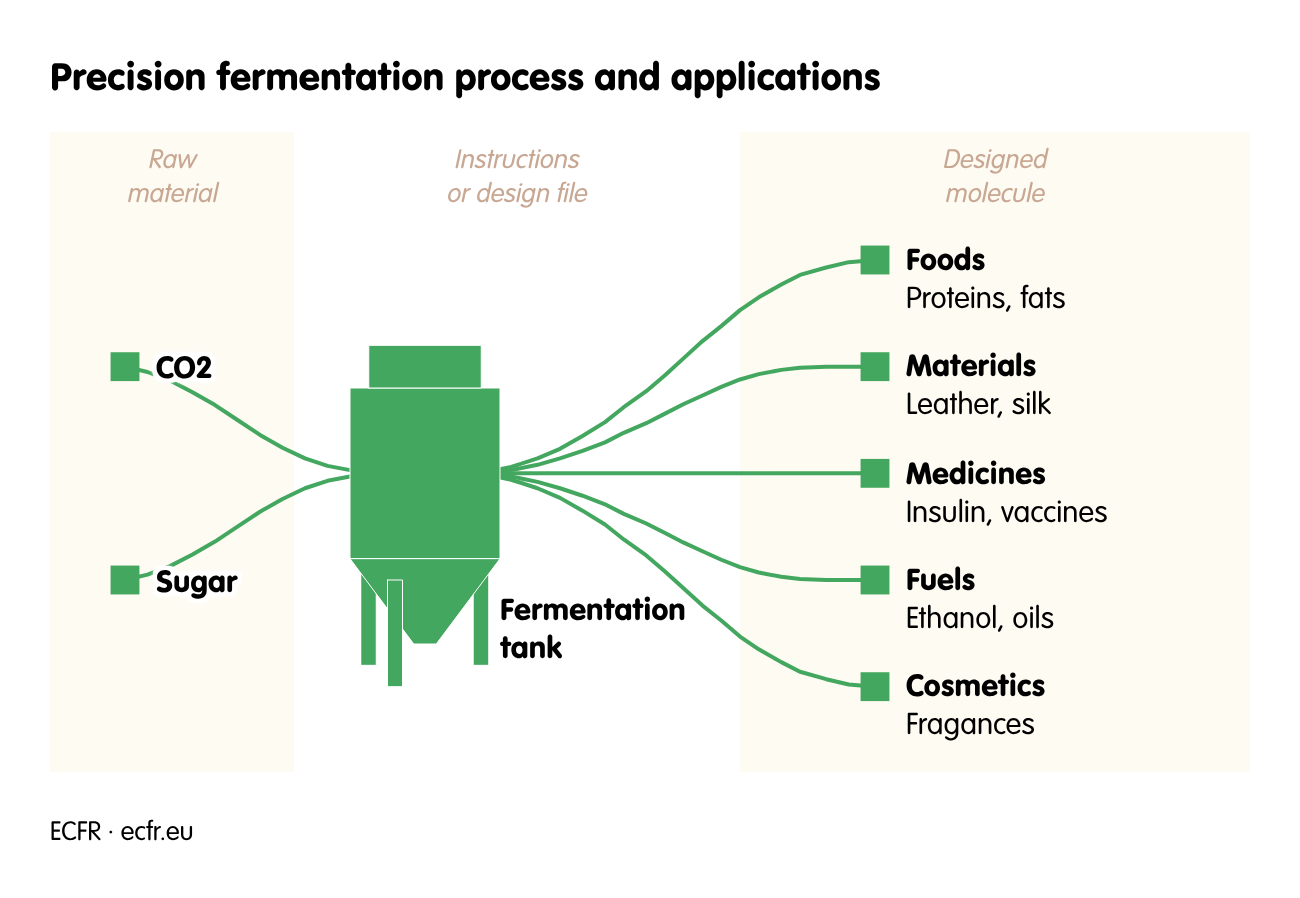 Precision fermentation process and applications
