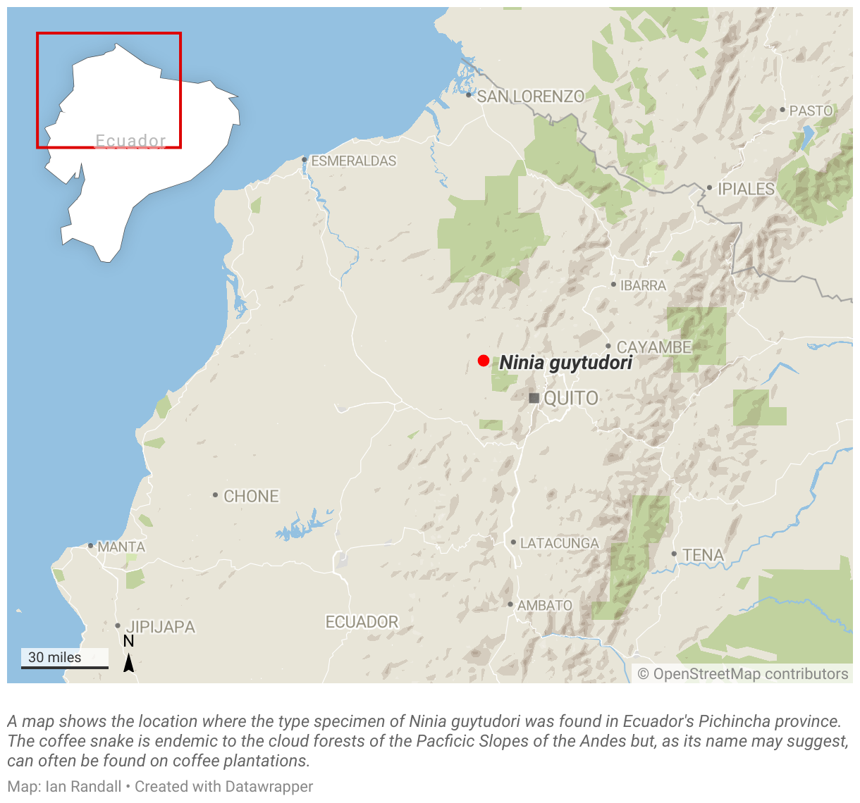 A map shows the location where the type specimen of ﻿Ninia guytudori was found in Ecuador's Pichincha province.