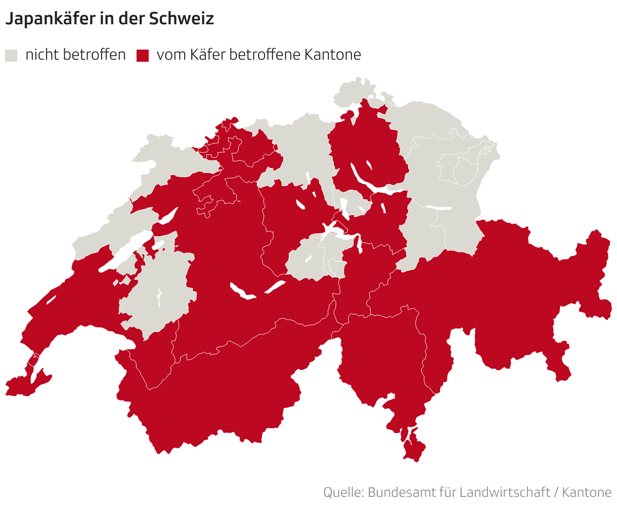 Japankäfer in der Schweiz (Choroplethen-Karte)