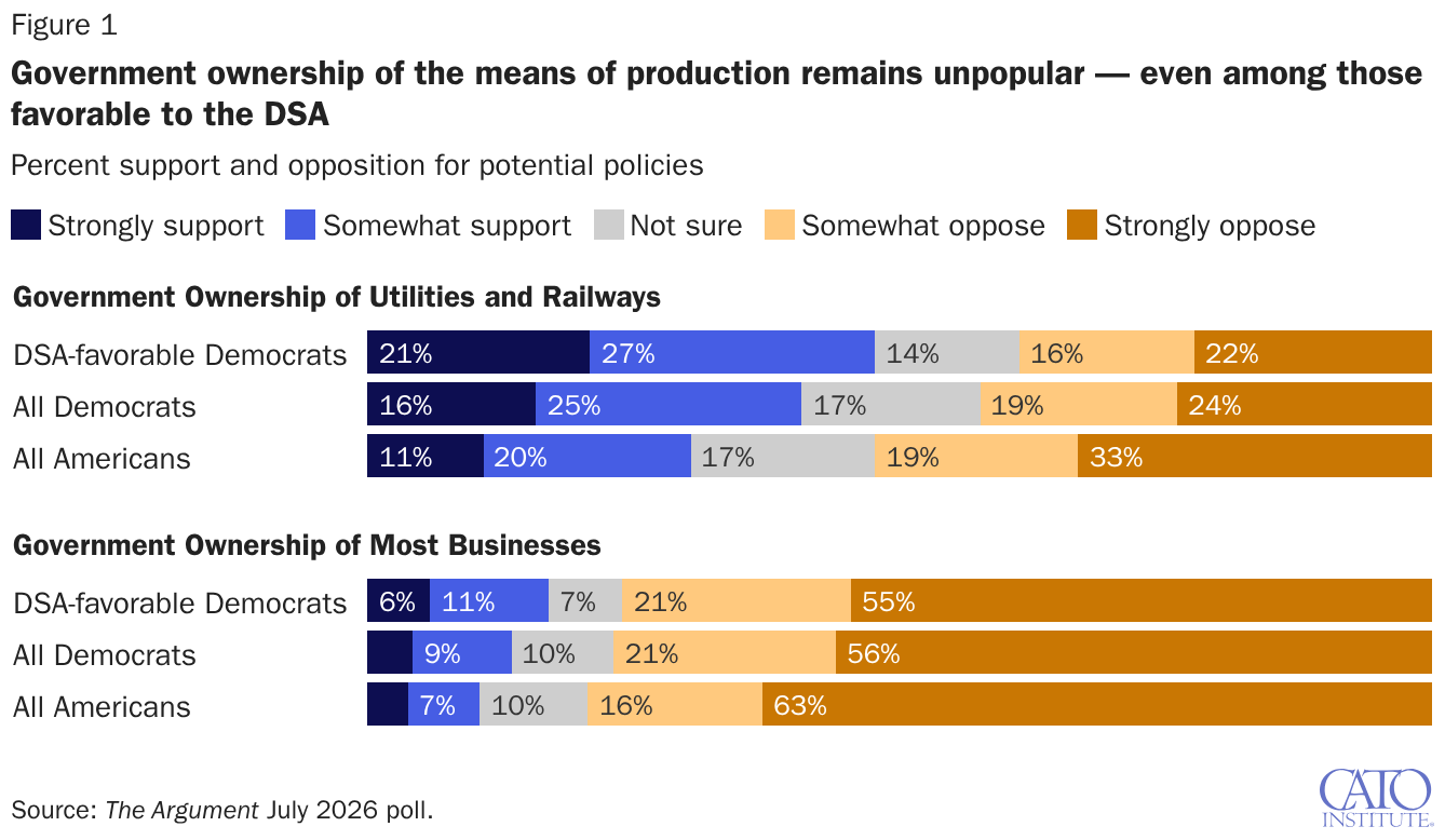Government ownership of the means of production remains unpopular — even among those favorable to the DSA