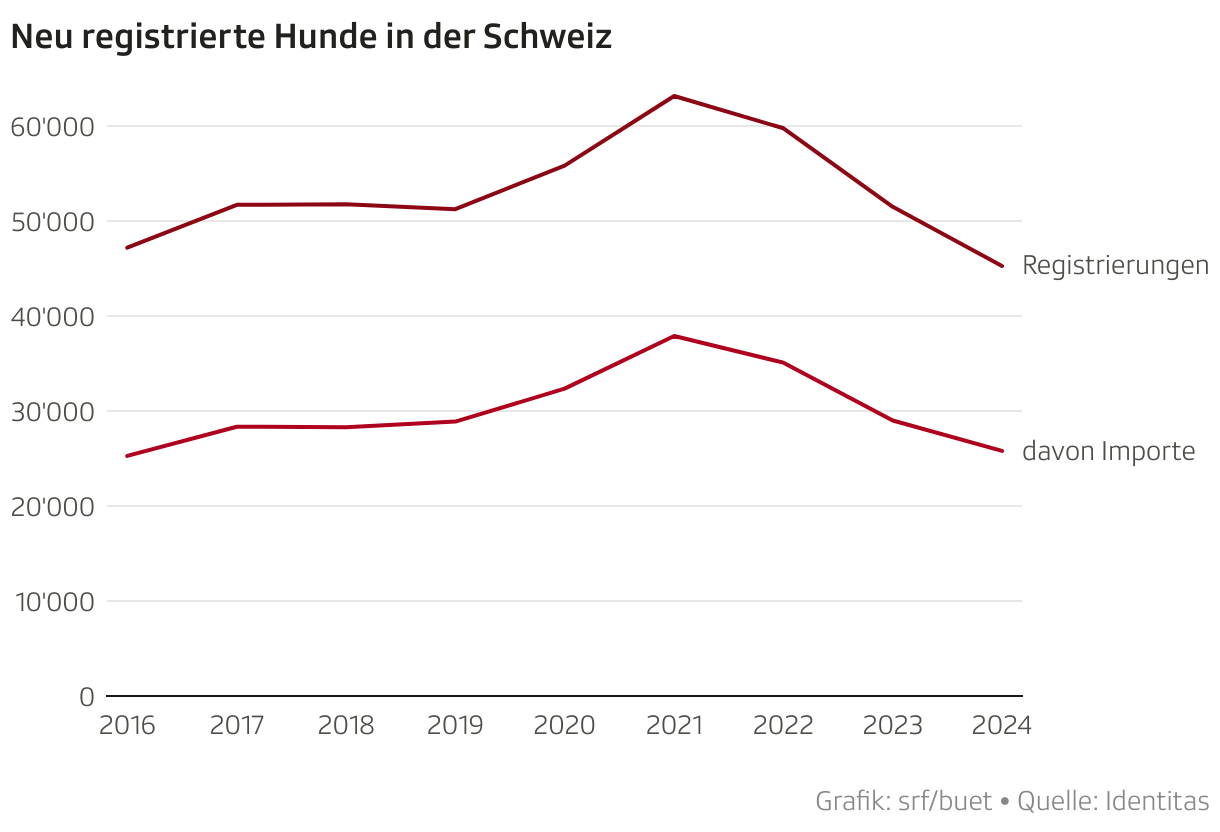 Neu registrierte Hunde in der Schweiz (Liniendiagramm)