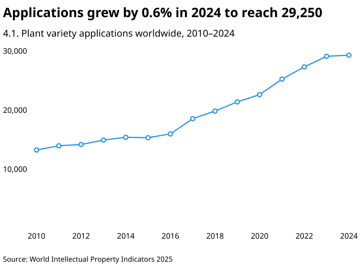 Applications grew by 0.6% in 2024 to reach 29,250 (Line chart)