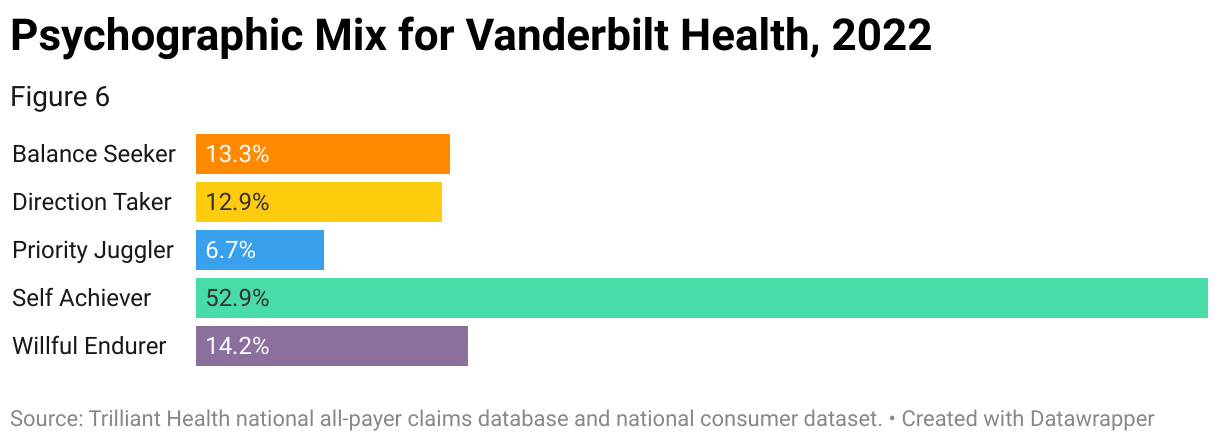A bar chart shows the percentage of Vanderbilt Health patients who have the Self Achiever (52.9%), Willful Endurer (14.2%), Balance Seeker (13.3%), Direction Taker (12.9%) and Priority Juggler (6.7%) psychographic profiles.