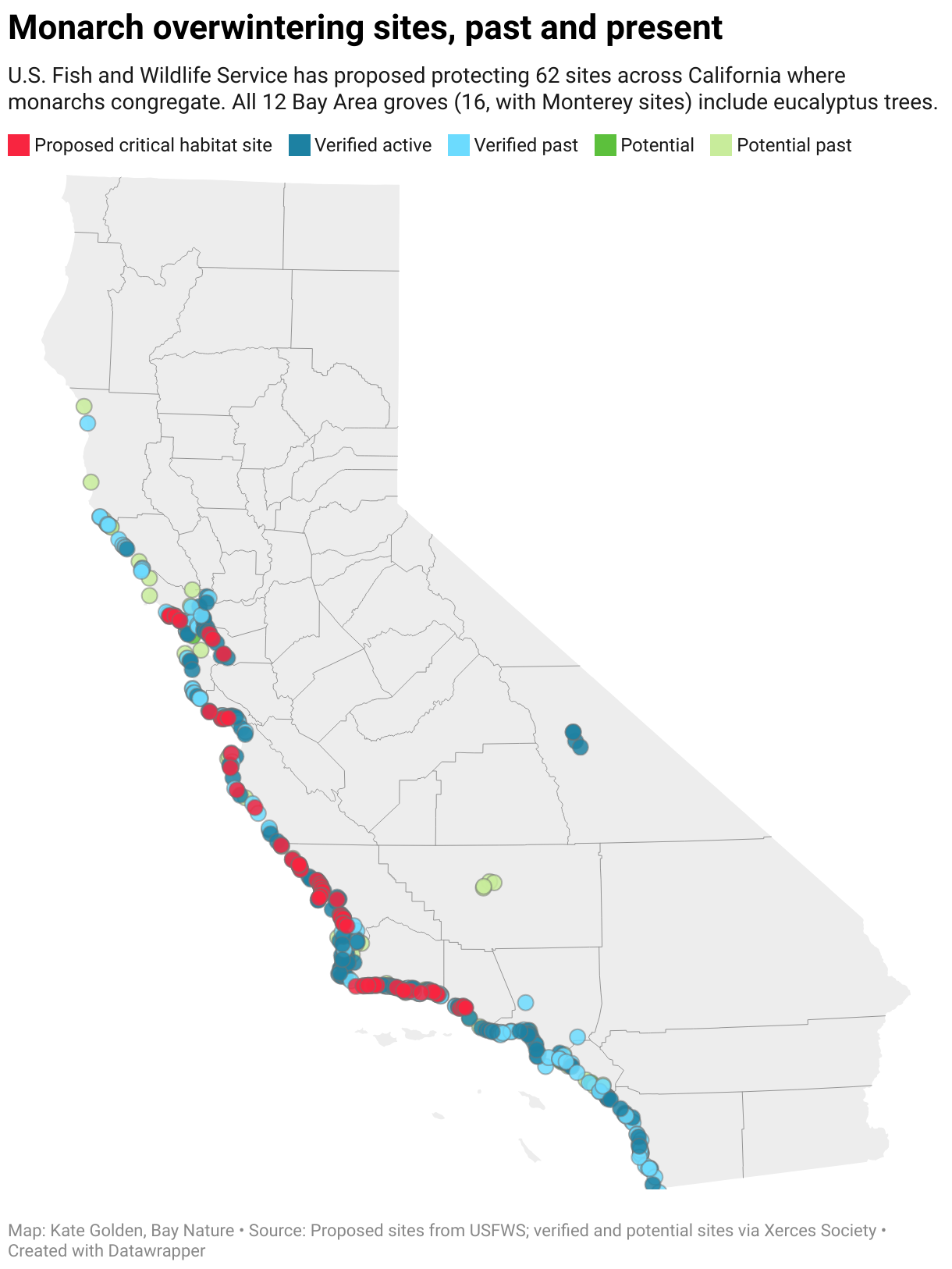 The California coast is dotted with sites where monarch butterflies congregate to overwinter during their multigenerational migrations.