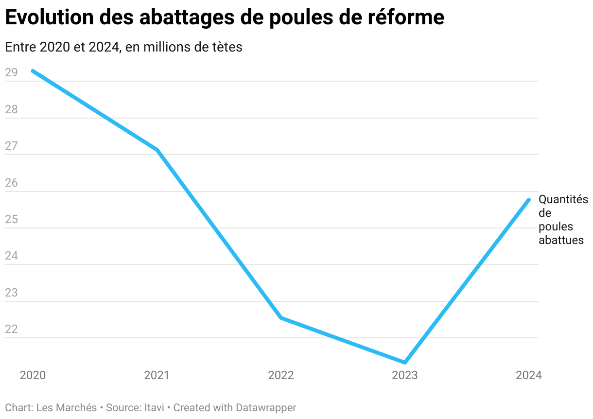 Evolution des abattages de poules de réforme (Lignes)