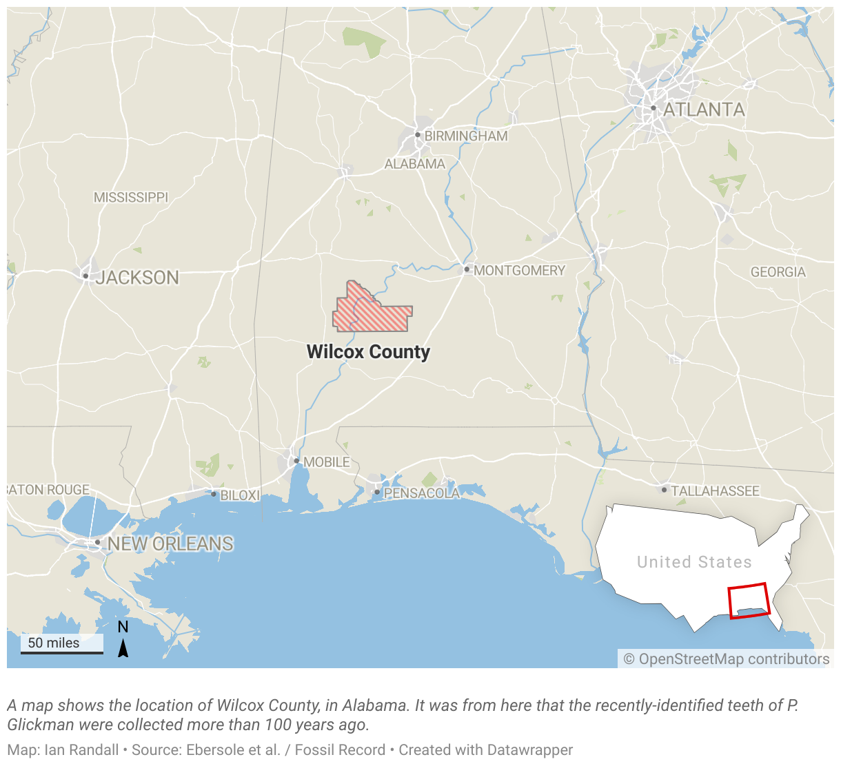 A map shows the location of Wilcox County, in Alabama.
