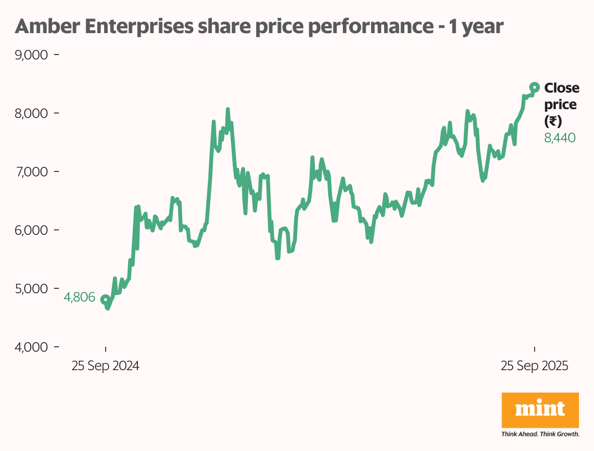 Amber Enterprises share price performance - 1 year (Line chart)