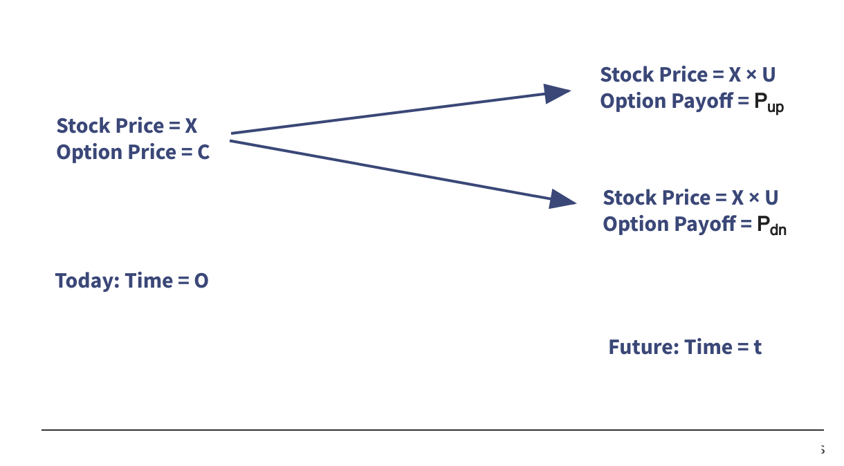 fallback image