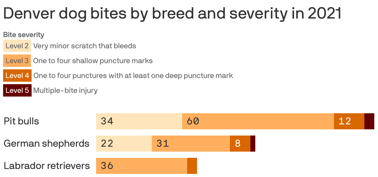 Denver dog bites by breed and severity in 2021