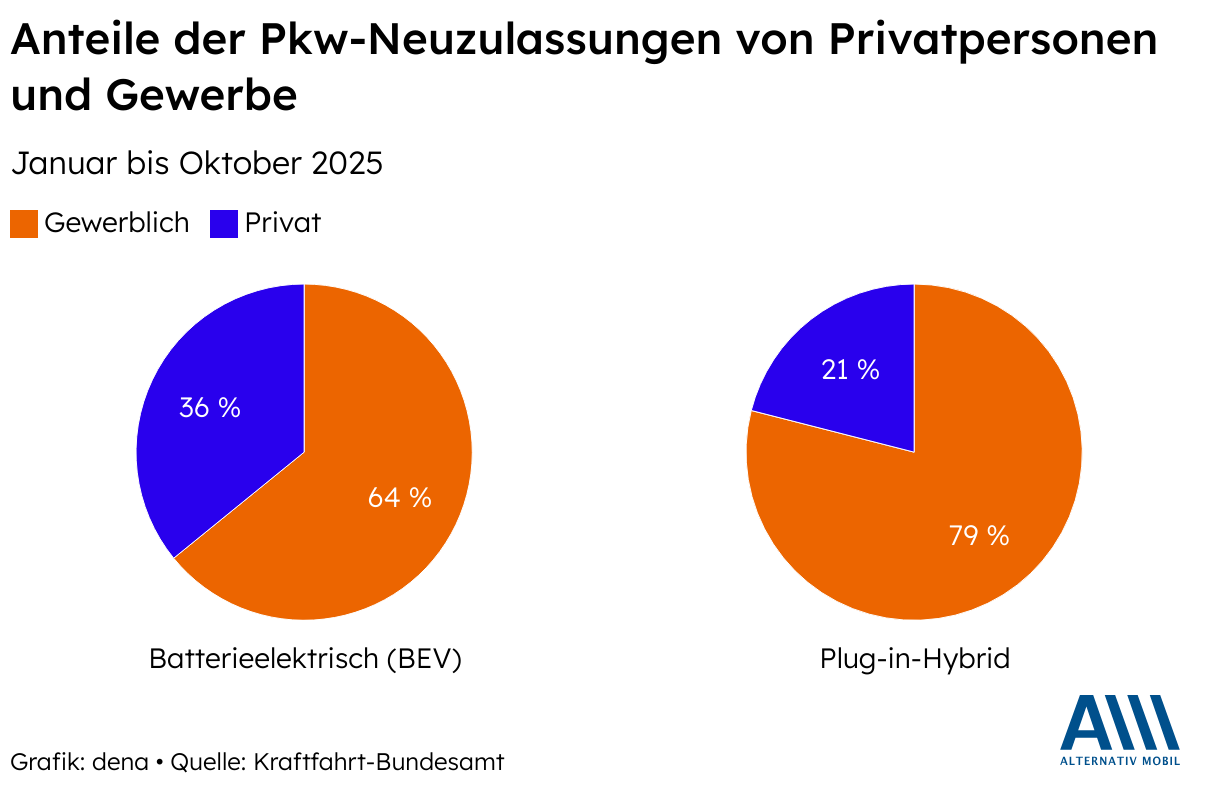 Anteile der Pkw-Neuzulassungen von Privatpersonen und Gewerbe (Mehrere Torten)