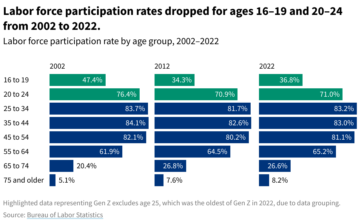 Sideways bar chart showing the percent of workforce participation by age, from 2002 to 2022.